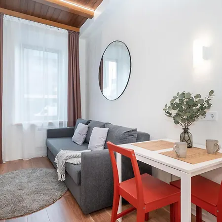 Cozy In The Center Апартаменты Вильнюс