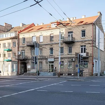 Cozy In The Center Апартаменты Вильнюс