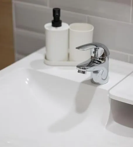 Cozy In The Center 公寓 维尔纽斯