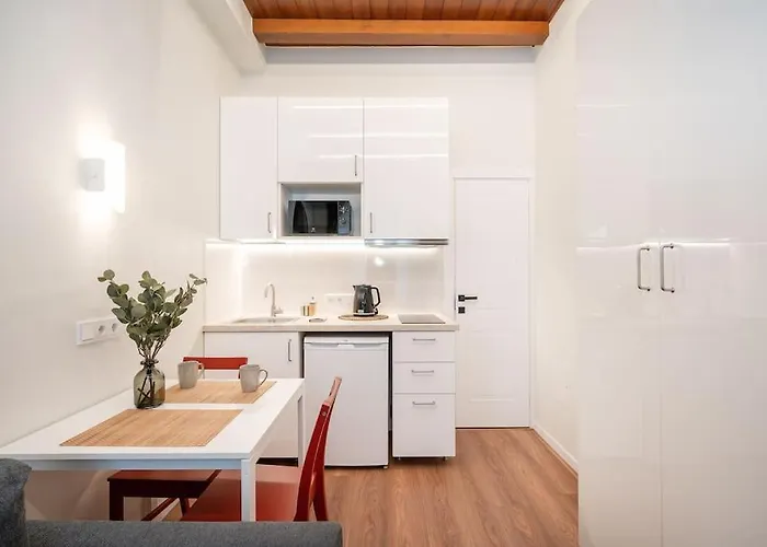 Cozy In The Center 公寓 维尔纽斯